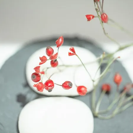 Apartment Club Nordic *